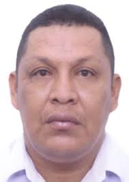 Ingresos de Otorongos Elecciones 2022