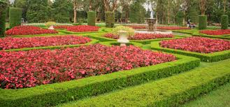 20 gambar sketsa kumpulan gambar sketsa bunga pemandangan. Taman Bunga Nusantara Rute Harga Tiket Masuk Dan Ulasan