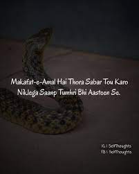 Enjoy these fun urdu quotes often seen on pakistani rickshaw and pakistani trucks that make people on the road smile! Self Thoughts Awaixwrites Twitter