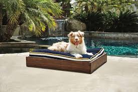 There are several types of cooling mats which work differently but they all k&h pet products cool bed iii. Finding The Best Dog Bed For Your Pup Petco