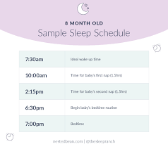 8 Month Old Baby Sleep Schedule: Bedtime Routines– Nested Bean
