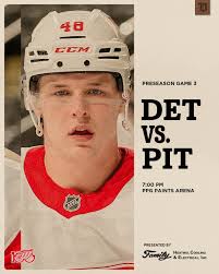 Detroit Red Wings TOP FANS