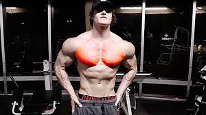 jeff seid chest workout you