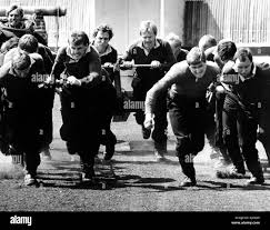 Image result for Gray 1984 Fleet