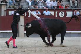 El señor barriga bastante fanatisado toma un mantel de la casa y empieza a agitar como si fuera una muleta de torero. Vicente Yanguez El Chano Banderillero Almas Taurinas