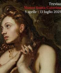 Consulenza Amministrativa Fiscale e Tributaria vicino Via Castagnole a  Treviso e dintorni