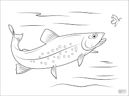Dogs love to chew on bones, run and fetch balls, and find more time to play! Basses Coloring Pages Coloringbay