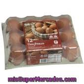 En la compañía son pioneros en trabajar con gallinas no enjauladas. Huevo Grande L Tamano Ahorro Guillen Carton 24 U Precio Actualizado En Todos Los Supers