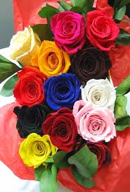 Pin On Flores Bonitas