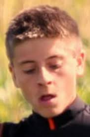 Driver, 17, killed in Dodge County crash