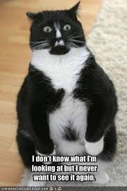 I Don T Know What I M Looking At But I Never Want To See It Again Funny Animal Pictures Funny Animals Cute Animals