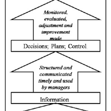 mis organizational structure in a large organization