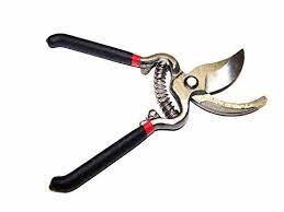 8 Forged Steel Pruning Shears Gardening Trimming Flowers Scissors Bonsai Tools Check Out The Image By Visiting The Bonsai Tools Pruning Shears Forged Steel