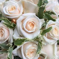 Click to see their flowers and reviews. Flowers Are Us Belfast Home Facebook