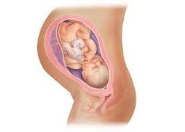 Standardgrosse Der Vagina Wie Viele Cm Sollte Ein Mitglied Sein