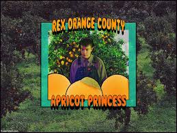 Searching for close search menu. Rex Orange County Wallpapers Wallpaper Cave