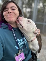 We met Officer Bill and K9 Neko tonight #tyfys #madysynsmission Pawtucket  Police Department