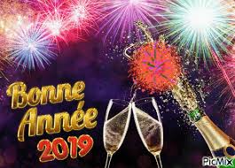 Résultat de recherche d'images pour "gif bonne année 2019"
