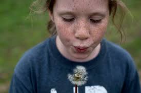 One Bites, One Barks