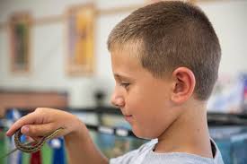 Cape May County 4-H Fair offers family fun for all