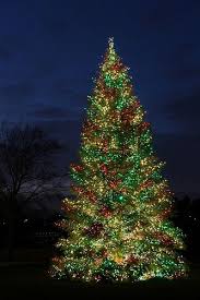 Untitled Rustic Christmas Tree Christmas Scenes Christmas Lights