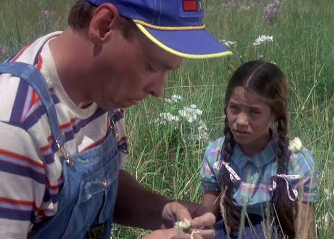 Dark Night of the Scarecrow (TV Movie 1981) - IMDb