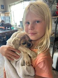 Dirty Dawg Pet Spa & Rescue