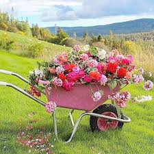 Pin By Gloria Ben On Pink Garden Inspiration Creative Gardening Wheelbarrow Garden
