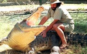 Maybe you would like to learn more about one of these? 18 Arti Mimpi Melihat Buaya Menurut Primbon Beserta Pertandanya