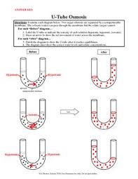 Pin On Teaching