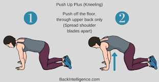 Image result for Winged Scapula