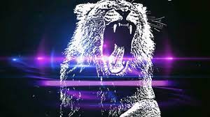 Martin Garrix Animals Slowed Down Youtube