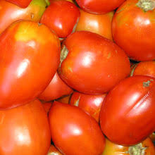 La planta de tomate amish tarda en dar fruto 74 días, es una variedad de heirloom que data atras en la epoca de 1800, es bueno para envasar y hacer salsas. Tomate Amish Pasta Demeter Biosaatgut Tomatenraritat Psr Tartuffli