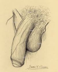 Gay Sex Porn Pencil Drawings Sex Pictures Pass 4968 | Hot Sex Picture