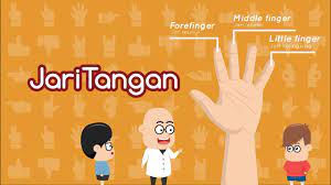 Dari sekian banyak bahasa daerah yang memiliki pilihan kata menarik dengan arti yang dalam, bahasa jawa merupakan kandidat yang banyak dipilih oleh para orang tua untuk menamai putra dan putri mereka tercinta. Mengenal Nama Jari Tangan Keluarga Jari Eza Dan Adi Youtube