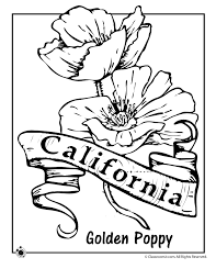 State Flower Coloring Pages Woo Jr Kids Activities Flower Coloring Pages Poppy Coloring Page Bird Coloring Pages