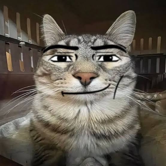 cat roblox man face matching