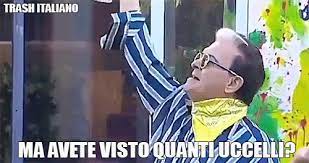 Entra nella vaccheca che raccoglie tutti i meme italiani su malgioglio. Risultati Immagini Per Cristiano Malgioglio Gif Trash Italiano Immagini Divertenti Meme Divertenti Divertente