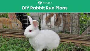 Simple diy wooden rabbit hutch. 5 Diy Rabbit Run Plans You Can Build Today With Pictures Pet Keen