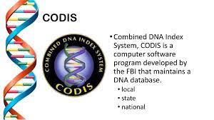 9 5 Mitochondrial Dna Ppt Download