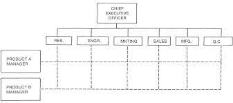 The Matrix Organization