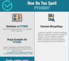 Correct Spelling For Python Infographic Spellchecker Net