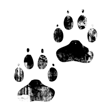 Dog tattoos paw print tattoos. Transparent Dog Paw Quotes Quotesgram