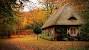 French Country Cottage Wallpaper