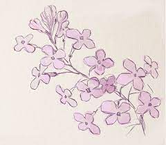 Maybe you would like to learn more about one of these? Step By Step Lilac Flower Drawing Novocom Top