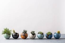 Buy succulent arrangements, faux cactus plants, echeveria succulent, artificial succulents in pots, unpotted artificial succulents, small succulent plants, and more! Set Van 7 Kleine Keramische Plantenbakken Voor Vetplanten Etsy Small Ceramic Planter Ceramic Planters Ceramic Pots