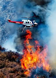 Forest Fire Research Questions The Wisdom Of Prescribed Burns Published 2012 Wildland Fire Forest Fire Wildland Firefighter