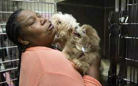 I also come with a puppy starter kit: Guilford Animal Shelter Employees Say They Were Treated Like The Animals Local News Greensboro Com