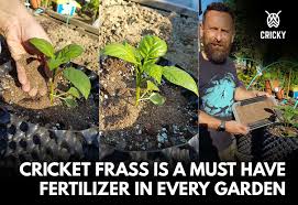 Frass is a fancy name for insect poop. Cricket Frass Is A Must Have Fertilizer In Every Garden Cricky Insect Protein Food Of The Future