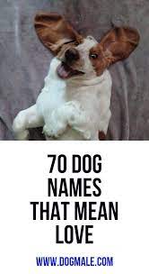 Get ready for pop culture references, unique names, and some classics. 70 Dog Names That Mean Love Dog Names Names That Mean Love Puppy Names